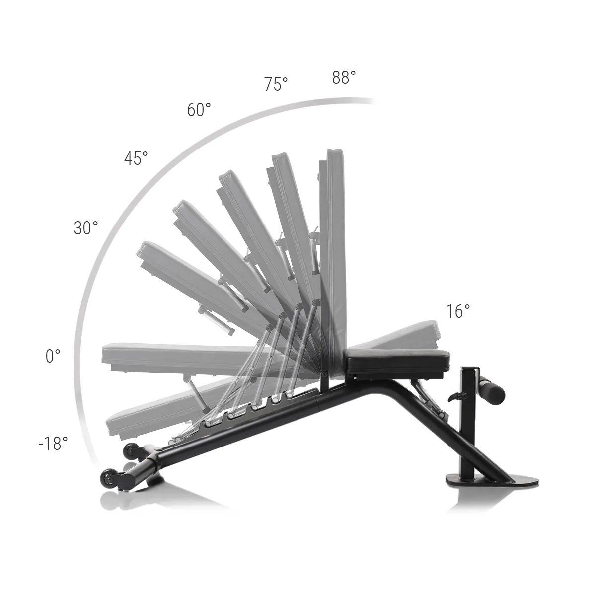 treeningpink_Hammer_Autark-2