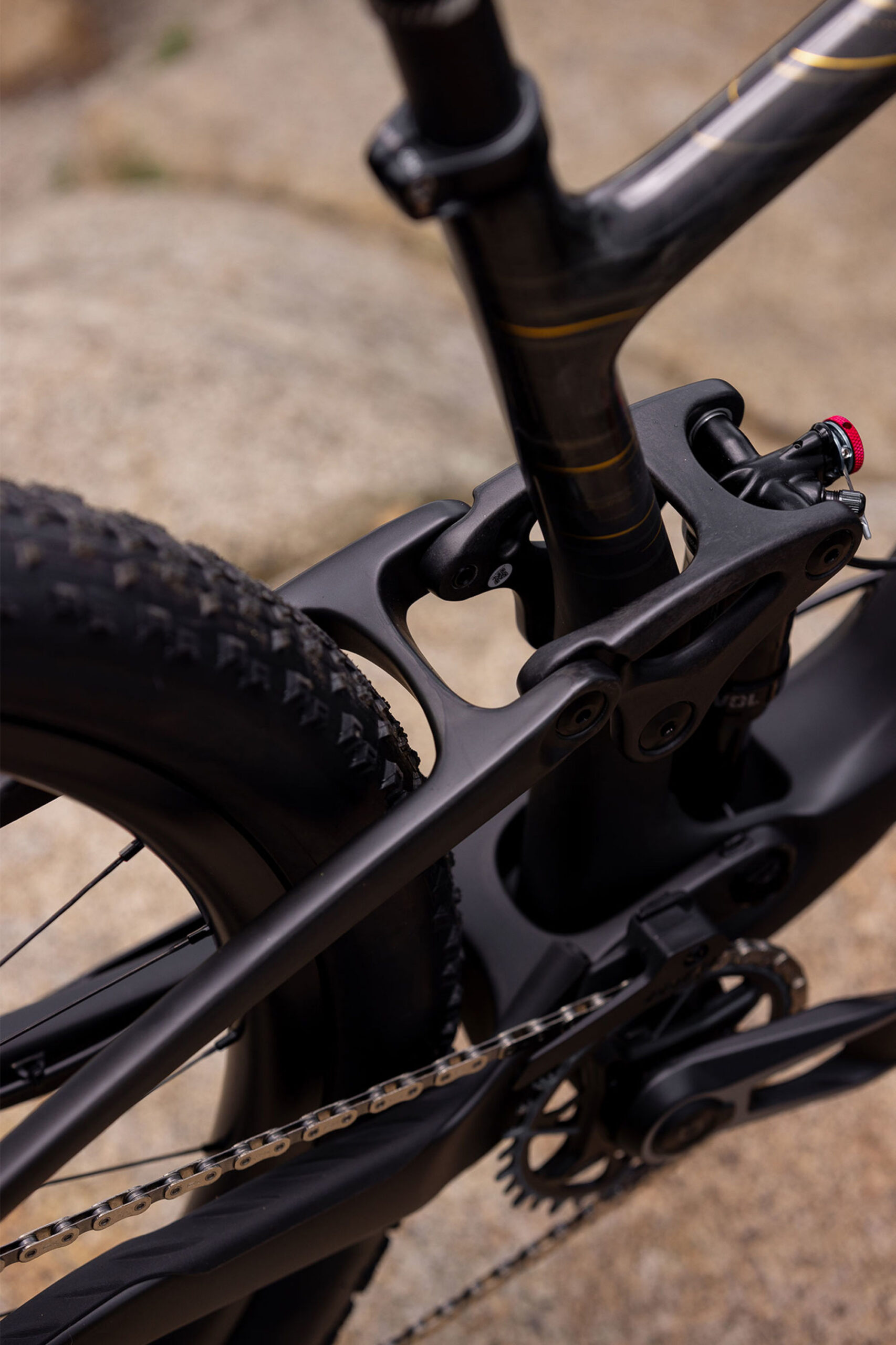 maastikuratas_Liv_PiqueAdv291_2024-RawCarbon-10