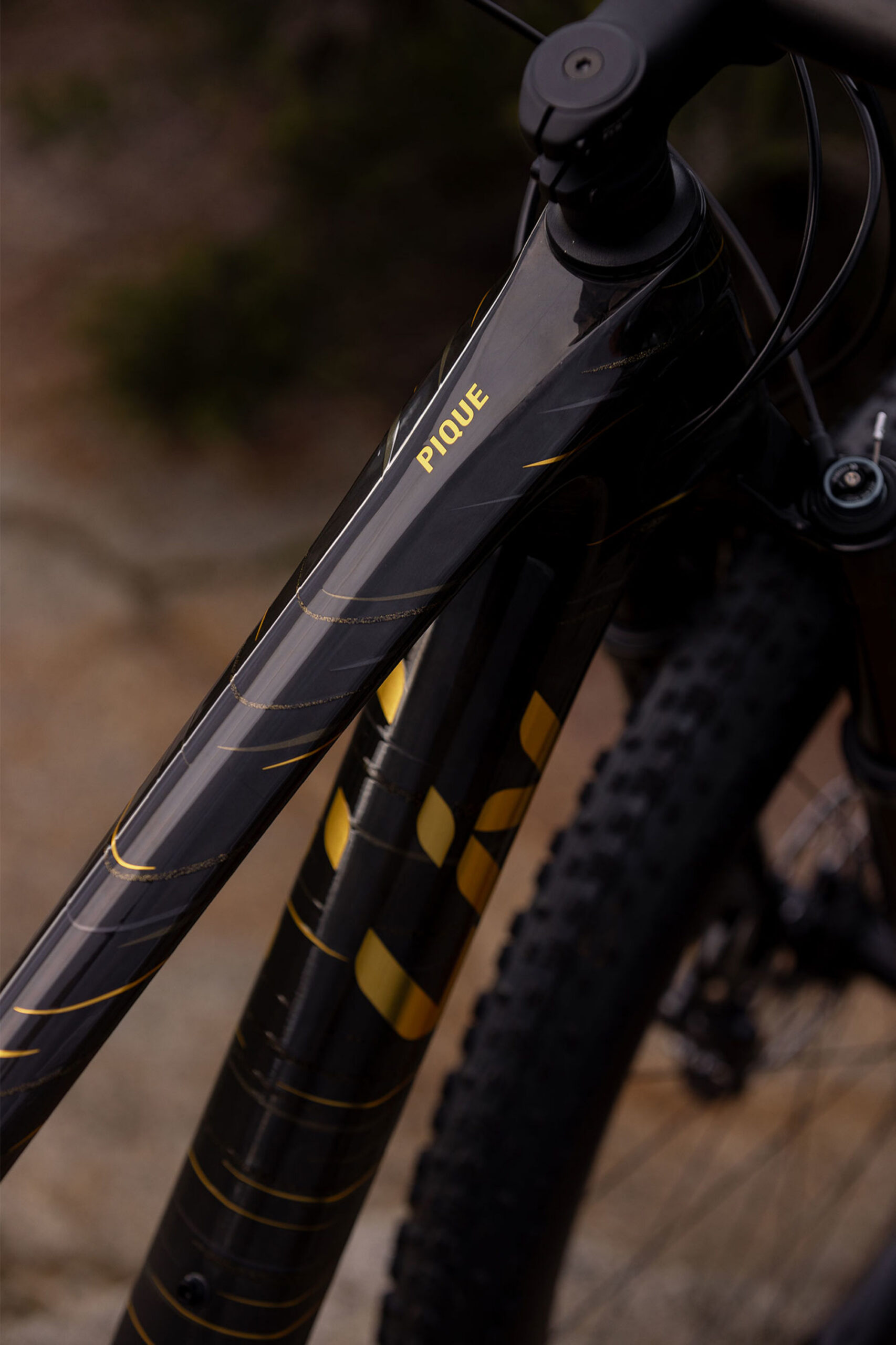 maastikuratas_Liv_PiqueAdv291_2024-RawCarbon-11