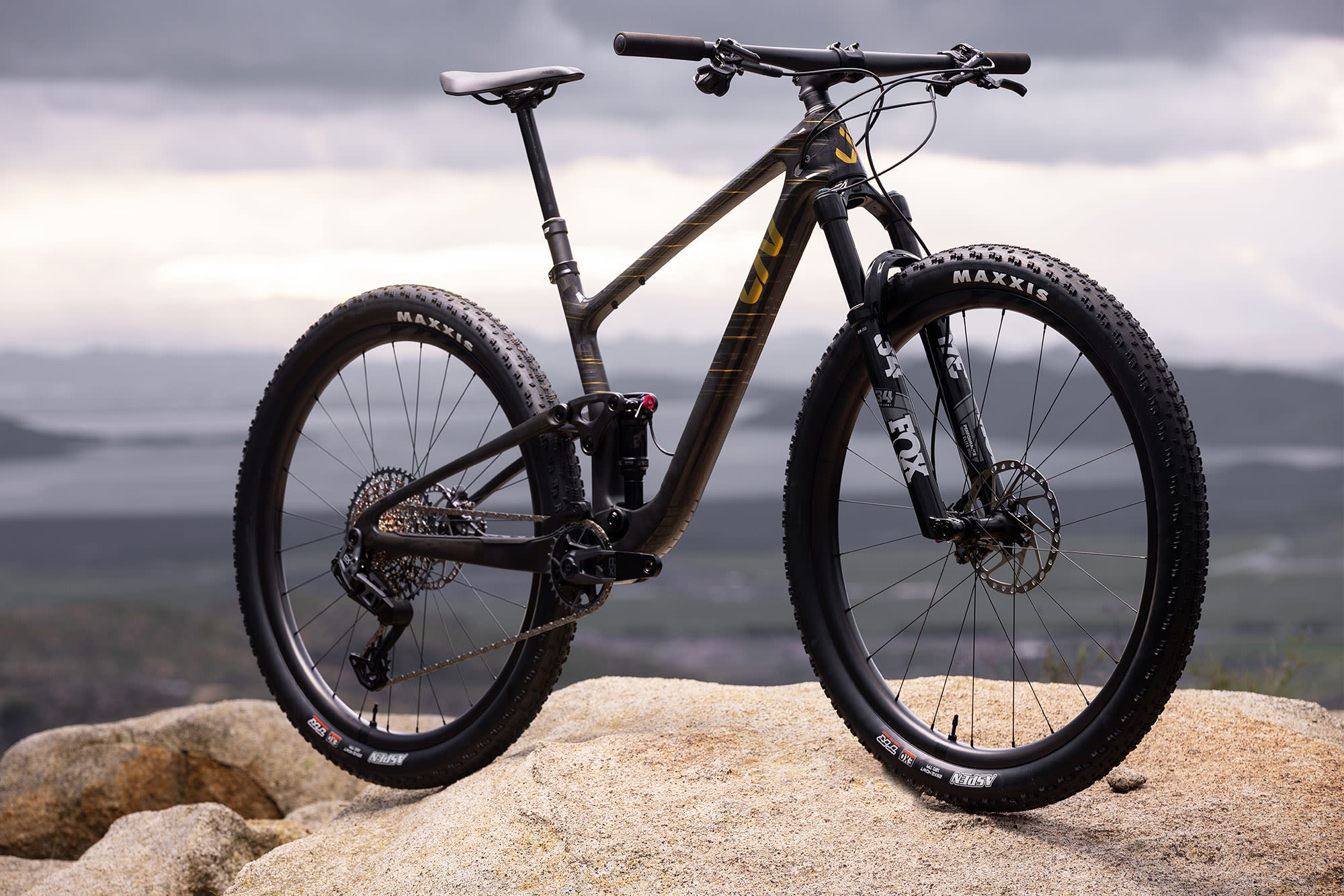 maastikuratas_Liv_PiqueAdv291_2024-RawCarbon-8