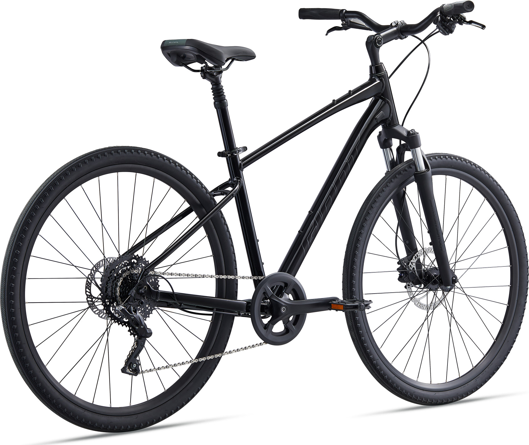 Giant_Cypress2_2022_Black-3