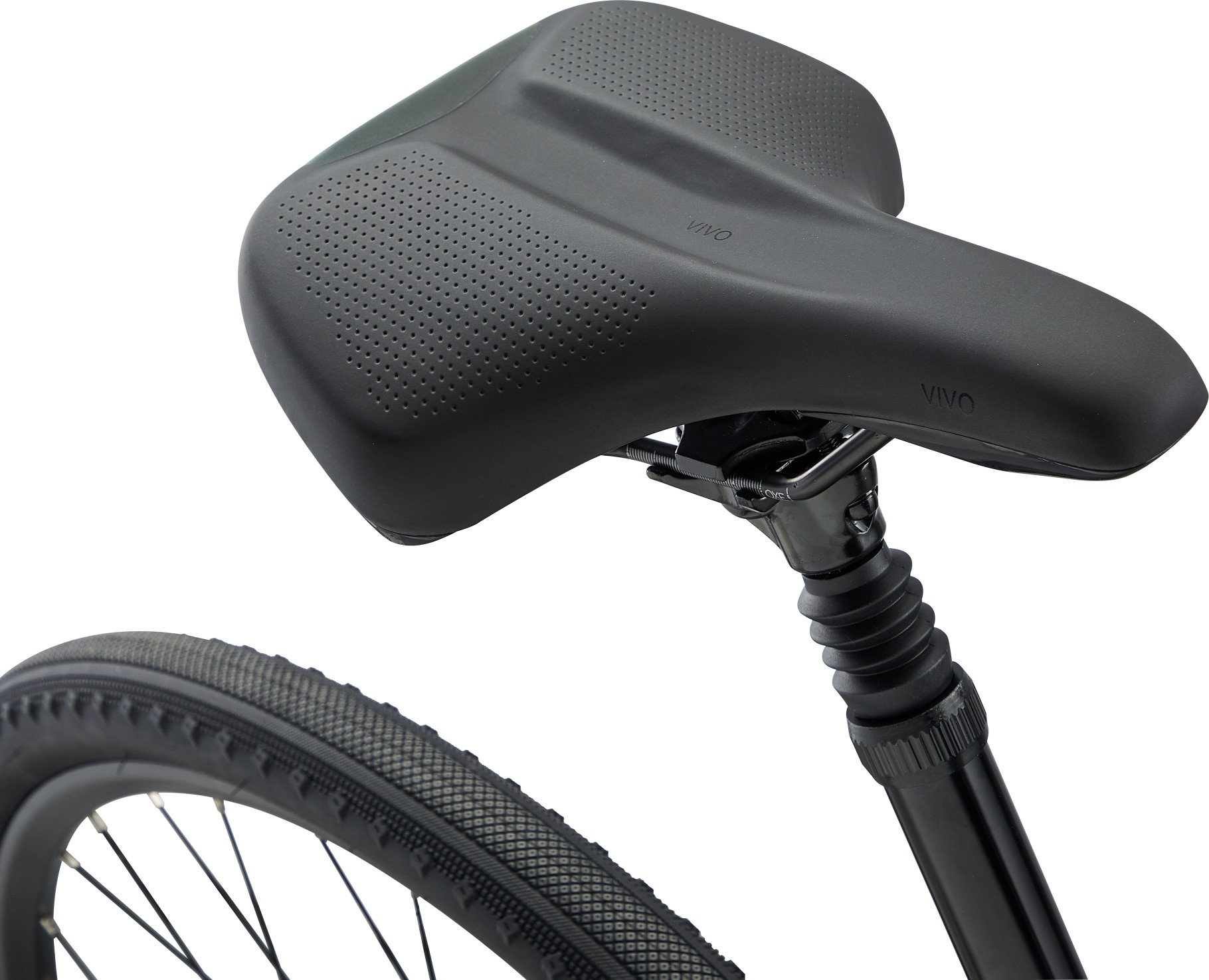 Giant_Cypress2_2022_Black-6