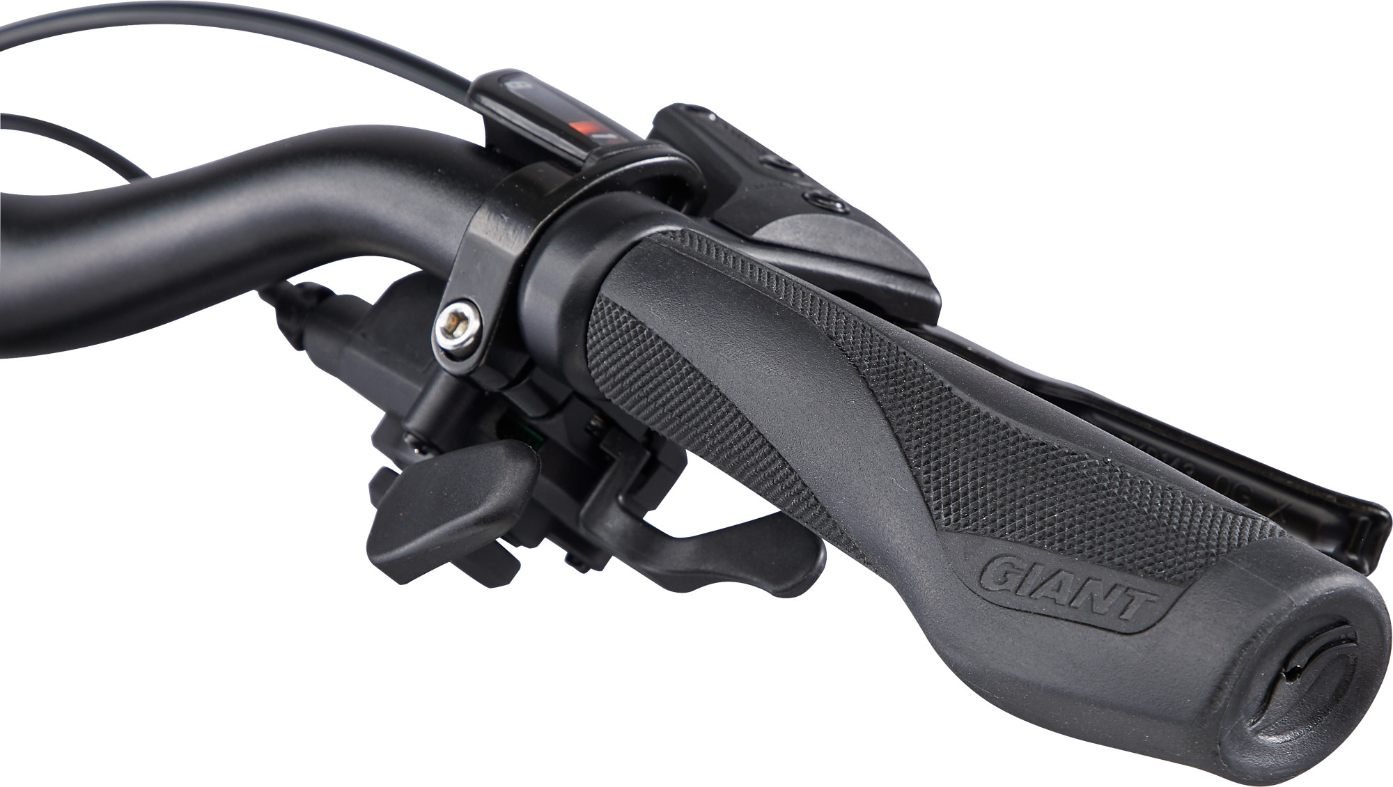 Giant_Cypress2_2022_Black-7