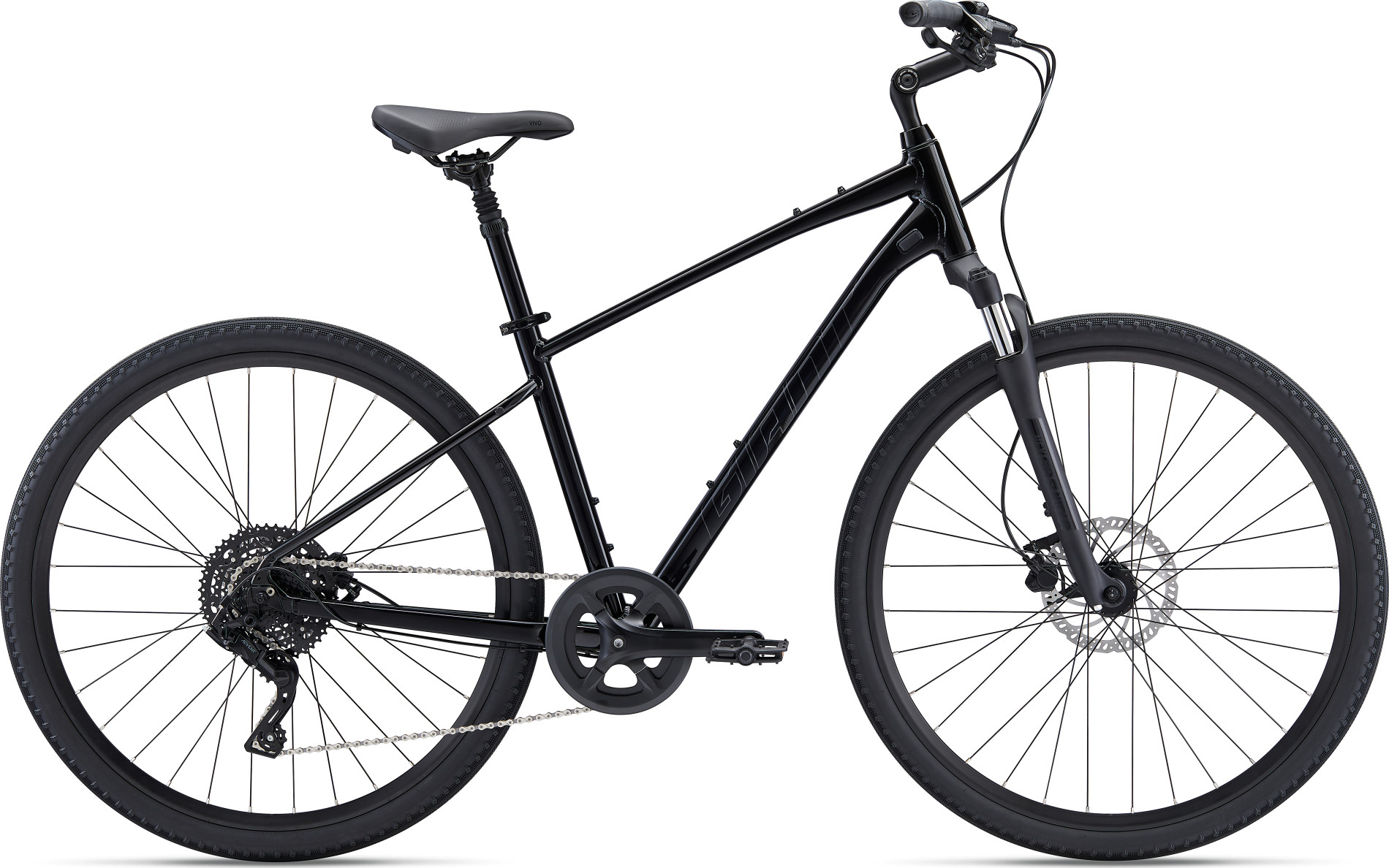 Giant_Cypress2_2022_Black