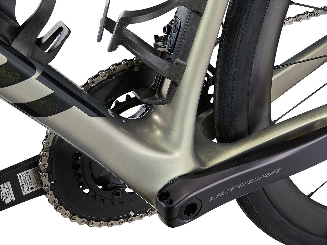 Giant_DefyAdvSL1_2024-GoldHazePanther-6