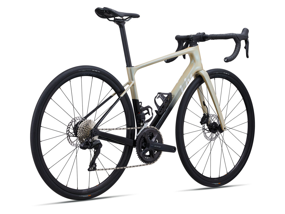 Liv_AvailAdv1_2024-Shoreline-3