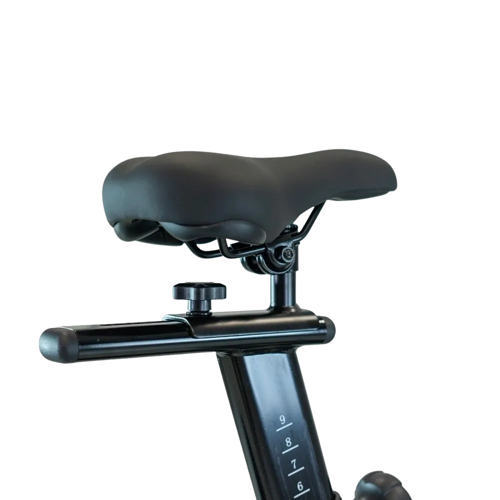 Velotrenazoor-BH-FITNESS-Xcalibur-Magnetic5