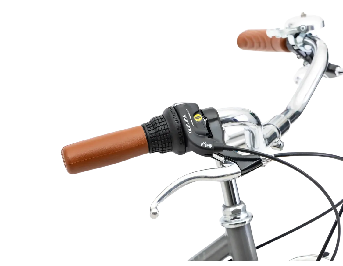 jalgratas_Romet_VintageEcoD_2025-grafiit-6