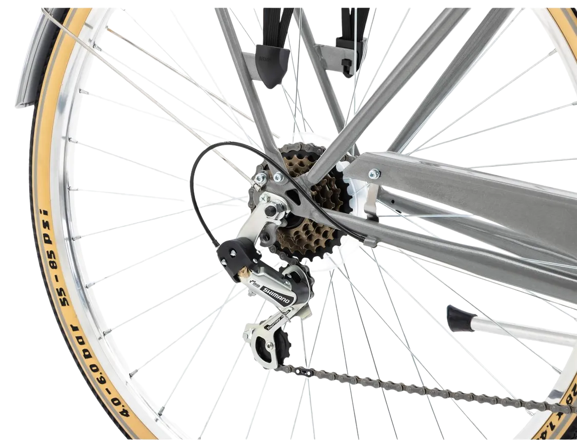 jalgratas_Romet_VintageEcoD_2025-grafiit-8