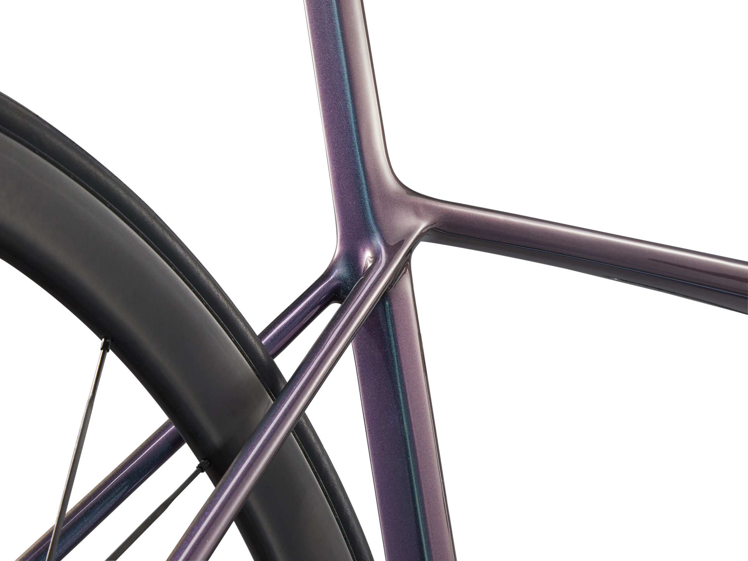 maanteeratas_Giant_TCRAdvSL1_2025-BlueDragonfly-7