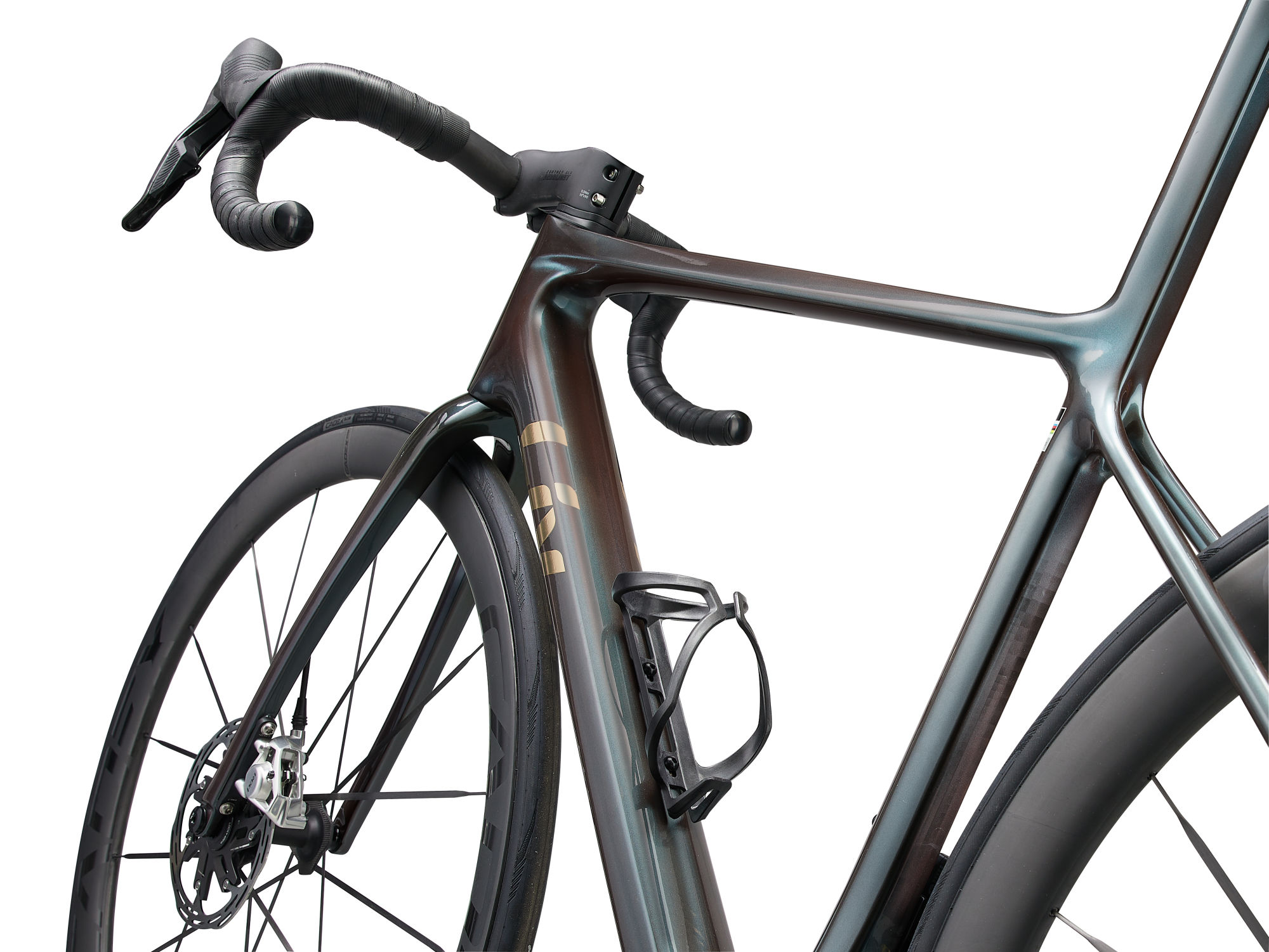 naistemaanteeratas_Liv_LangmaAdvSL0_2025-TahitianPearl-12