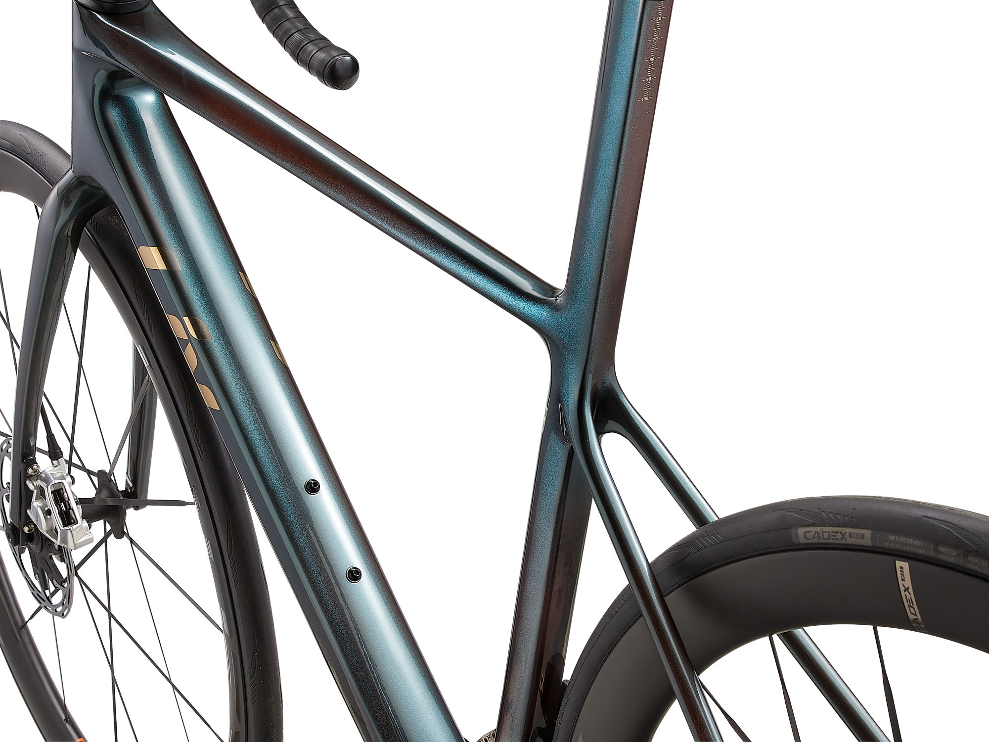 naistemaanteeratas_Liv_LangmaAdvSL0_2025-TahitianPearl-4