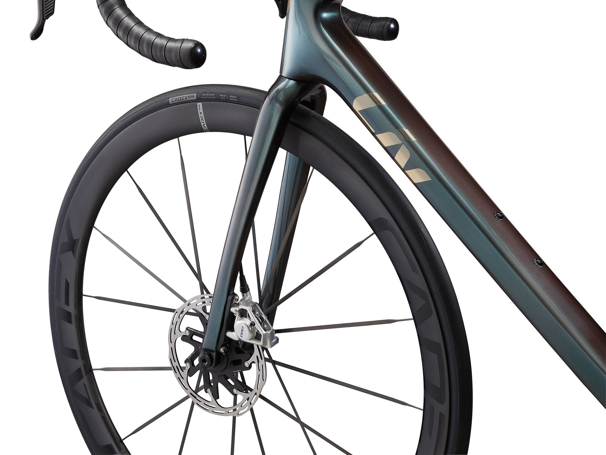 naistemaanteeratas_Liv_LangmaAdvSL0_2025-TahitianPearl-7