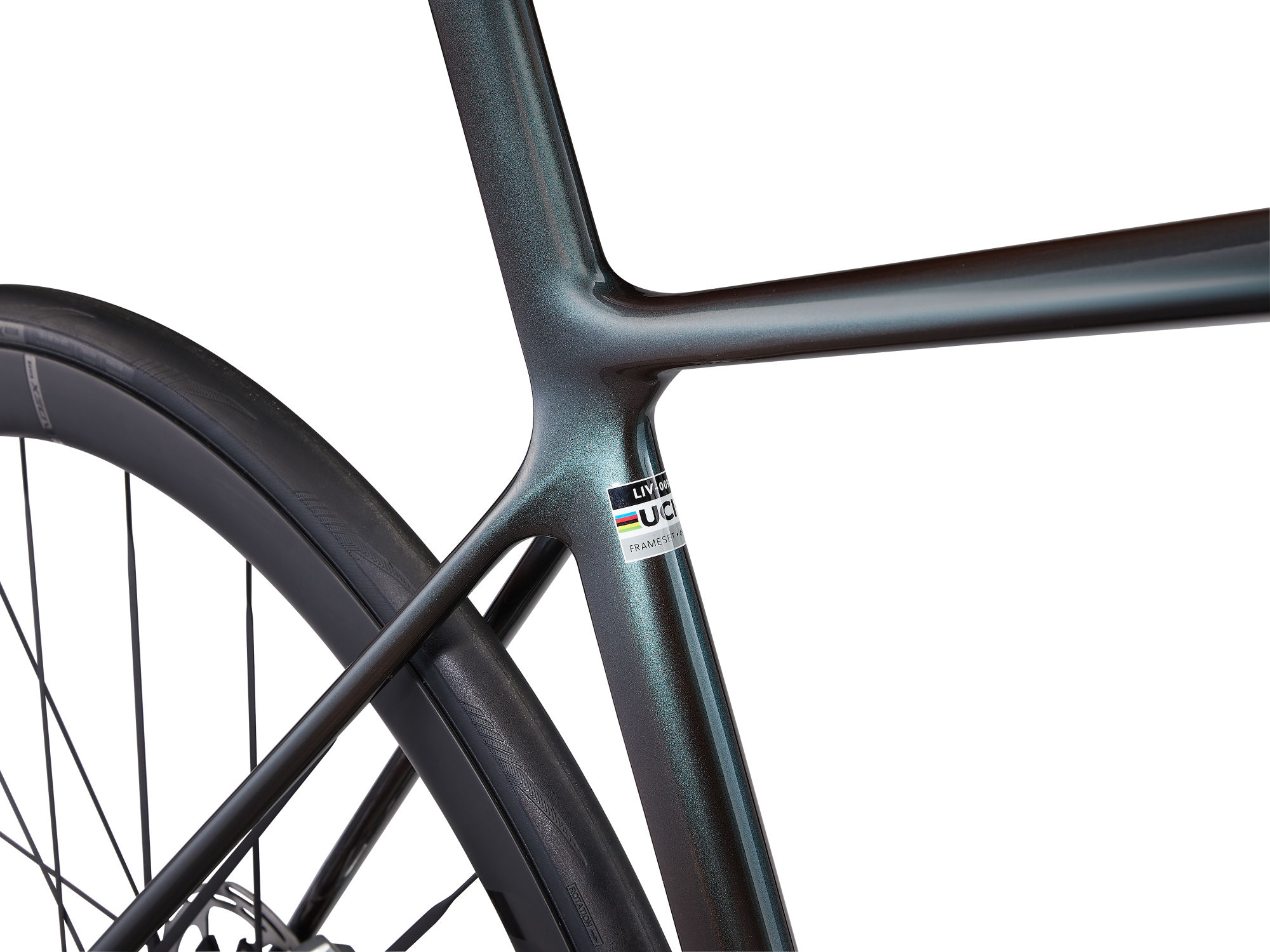 naistemaanteeratas_Liv_LangmaAdvSL0_2025-TahitianPearl-8