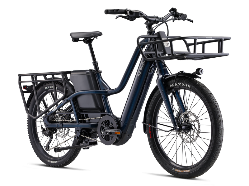 elektrijalgratas_Momentum_PakYakEplus_2023-Ink-4