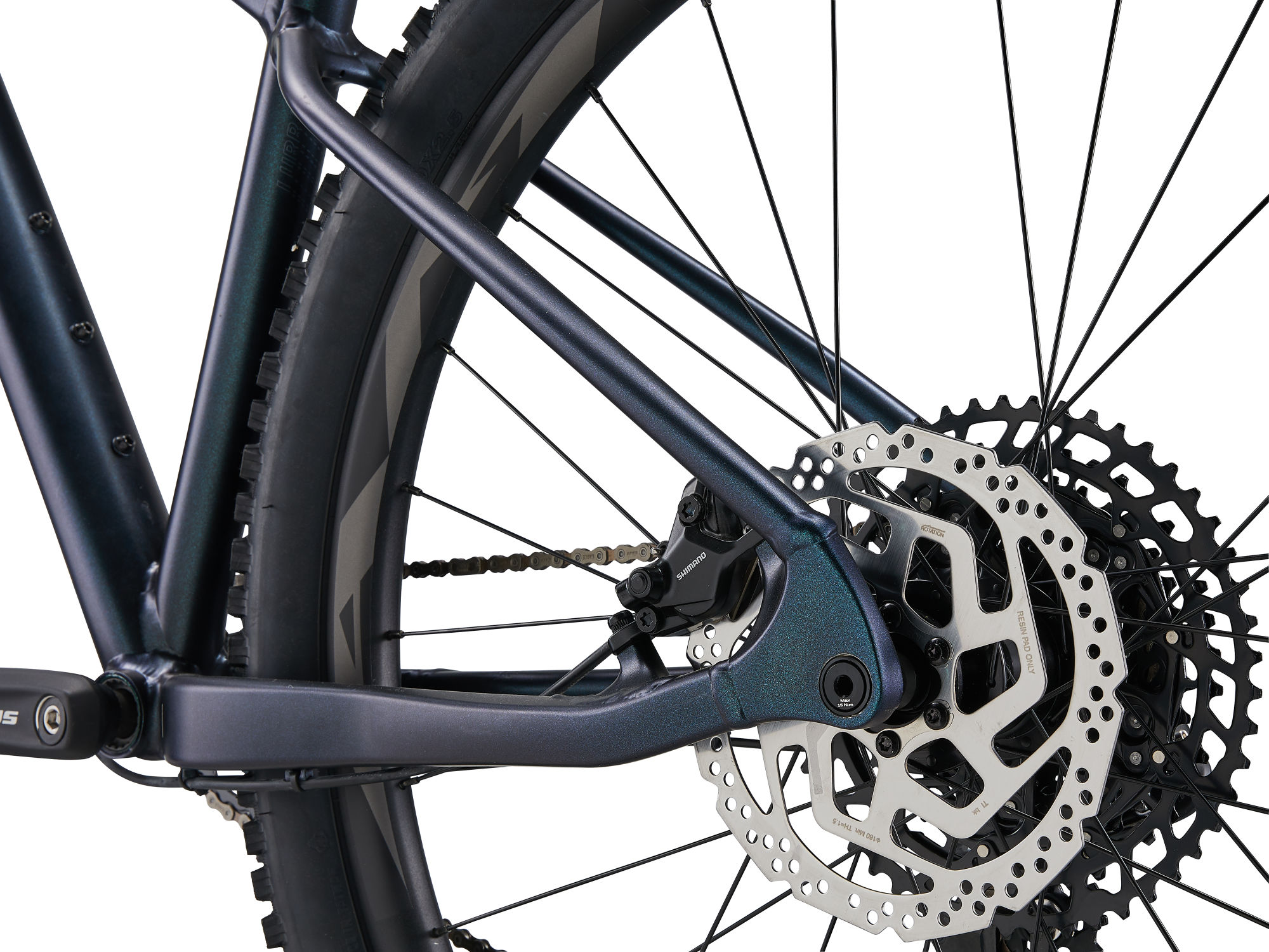 jalgratas_Liv_Lurra1_2023-StarryNight-7