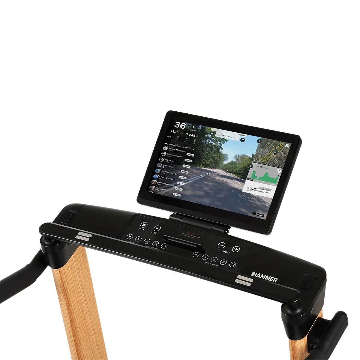 jooksulint_Hammer_QVadis12_NorsK-9