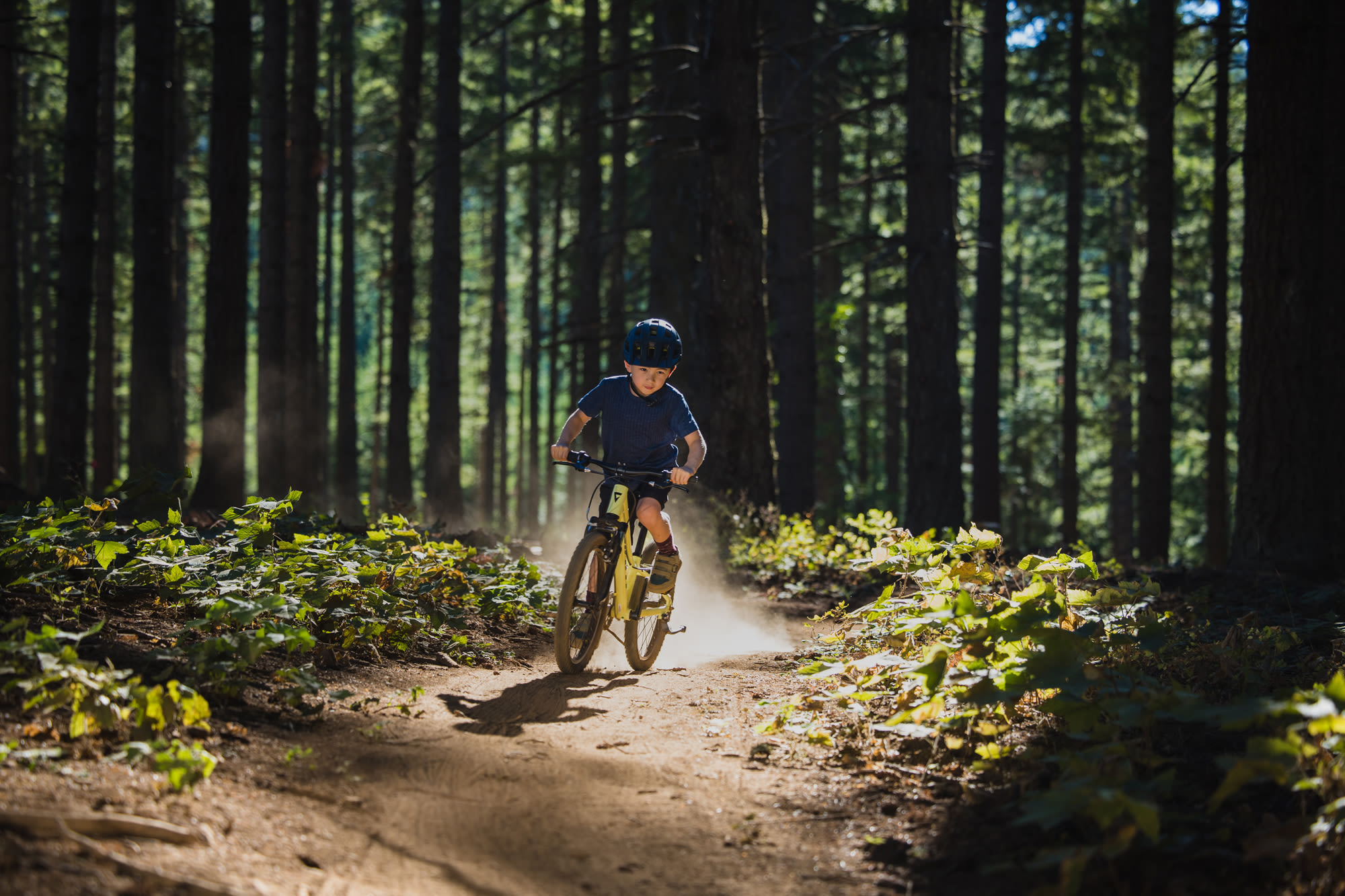 lastejalgratas_Giant_Talon20_2025-MuscatBlanc-7