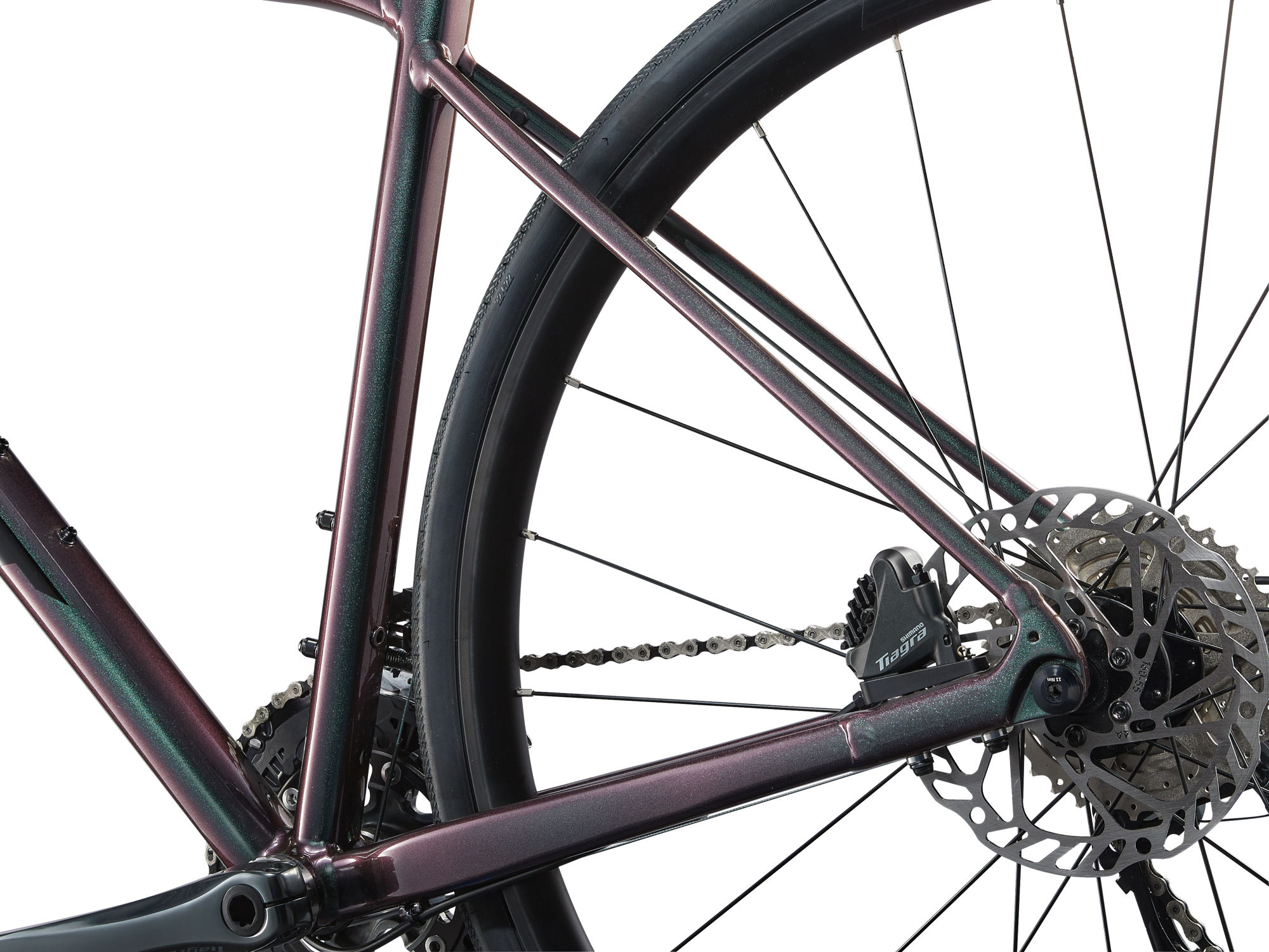 maantee_Giant_ContendAR2_2025-DarkIridescent-5