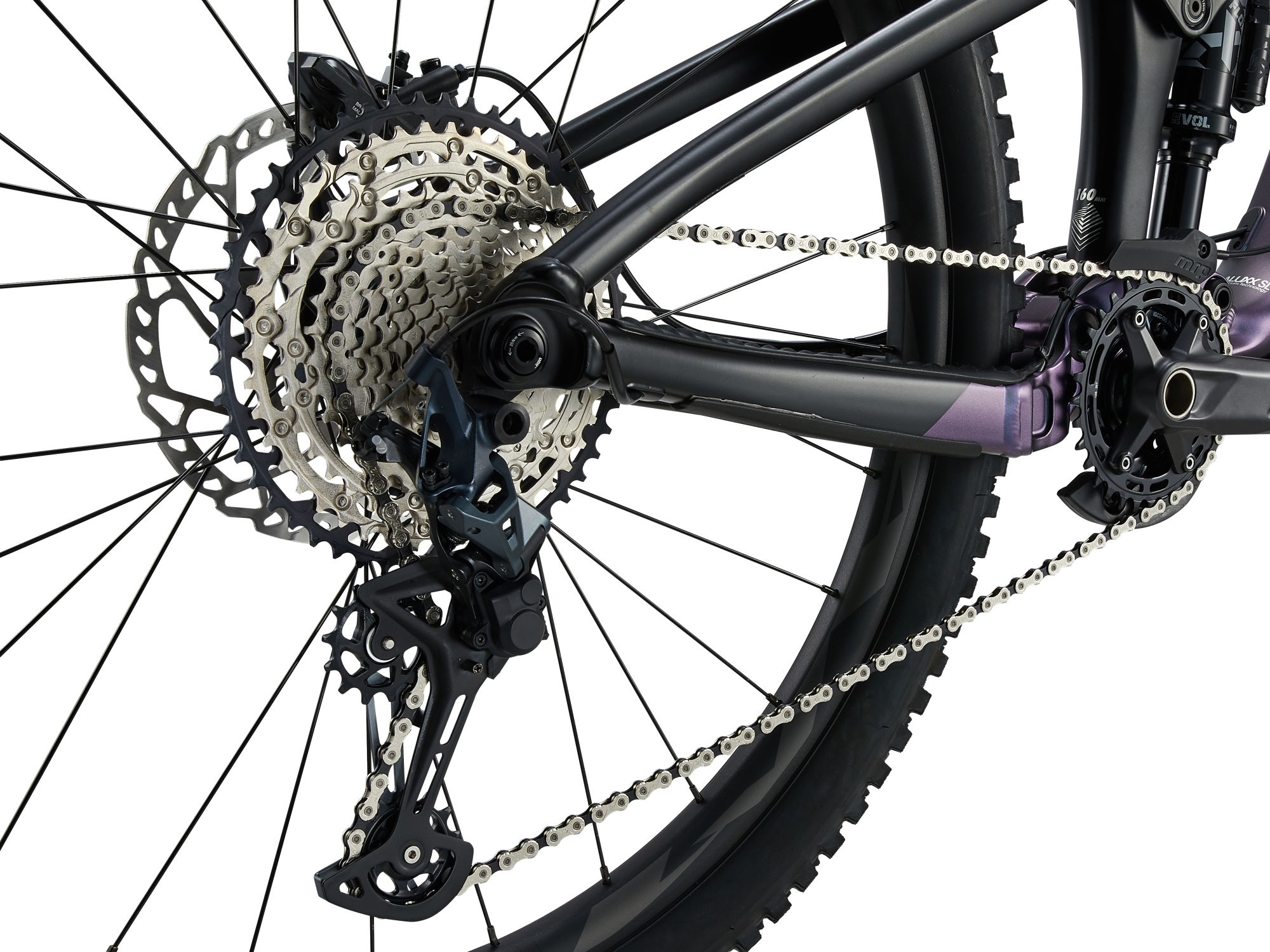 maastikuratas_Giant_Reign1_2024-BlueDragonflyBlack-3