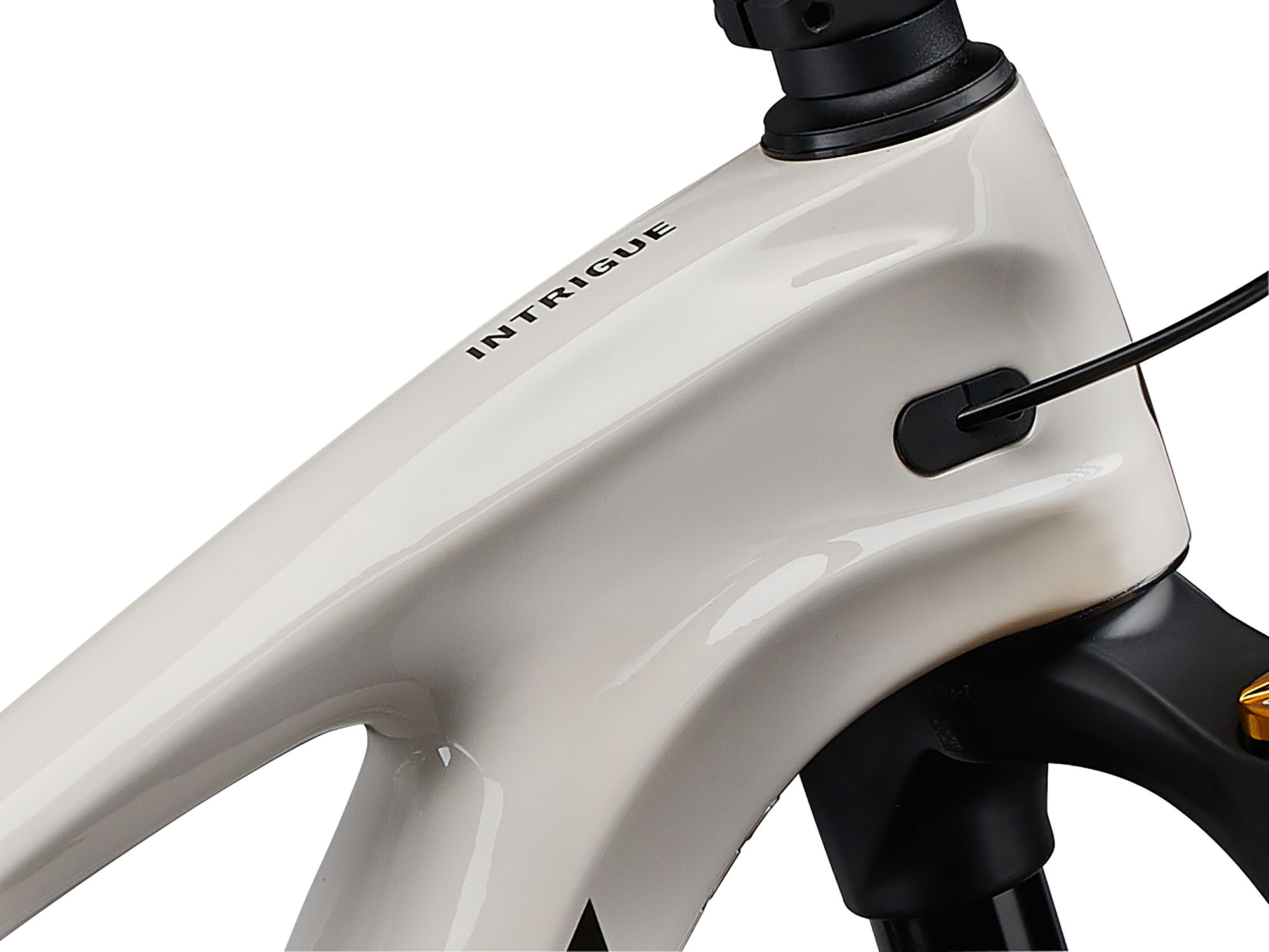 maastikuratas_Liv_IntrigueLTAdv2_2024-Mushroom-3