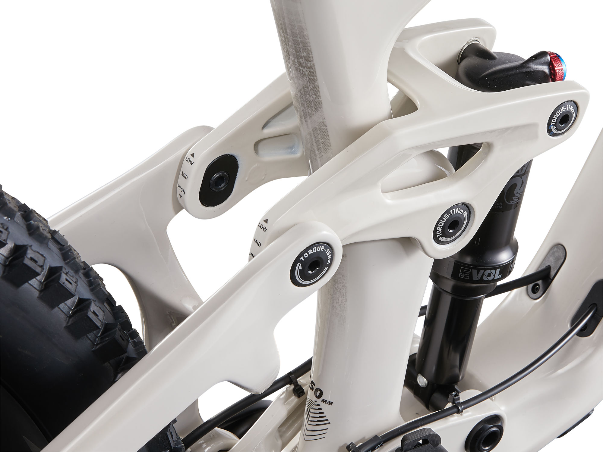 maastikuratas_Liv_IntrigueLTAdv2_2024-Mushroom-5