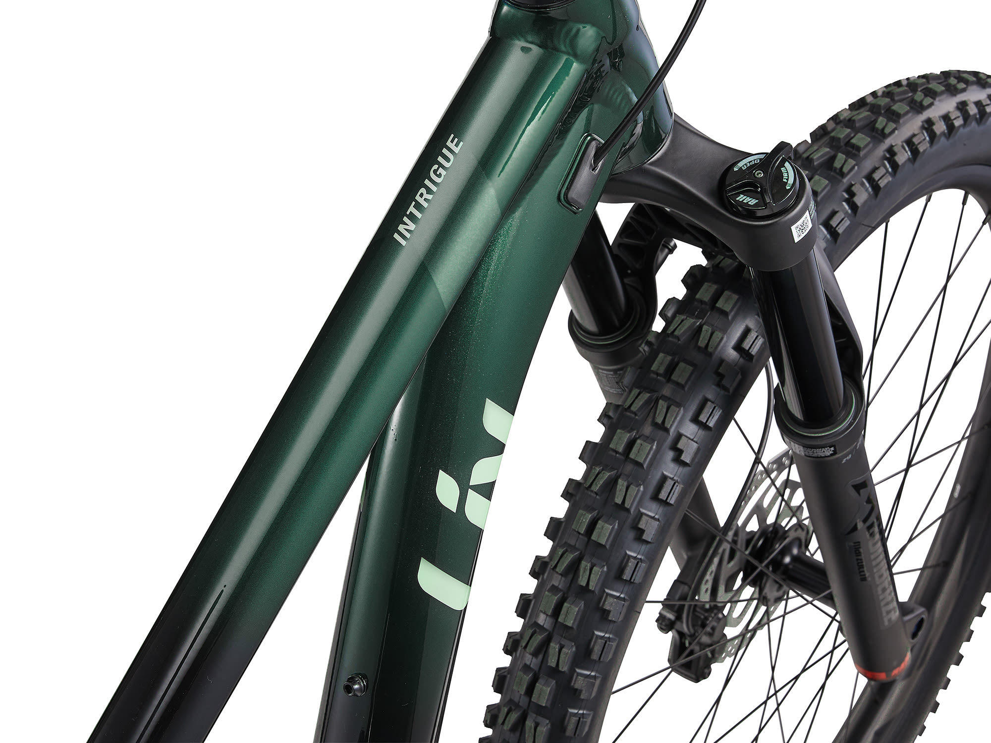 naistemaastikuratas_LivIntrigue291_2024-KelpForest-4