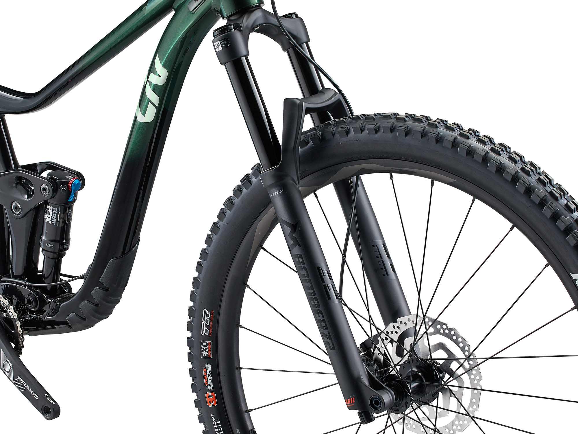 naistemaastikuratas_LivIntrigue291_2024-KelpForest-5