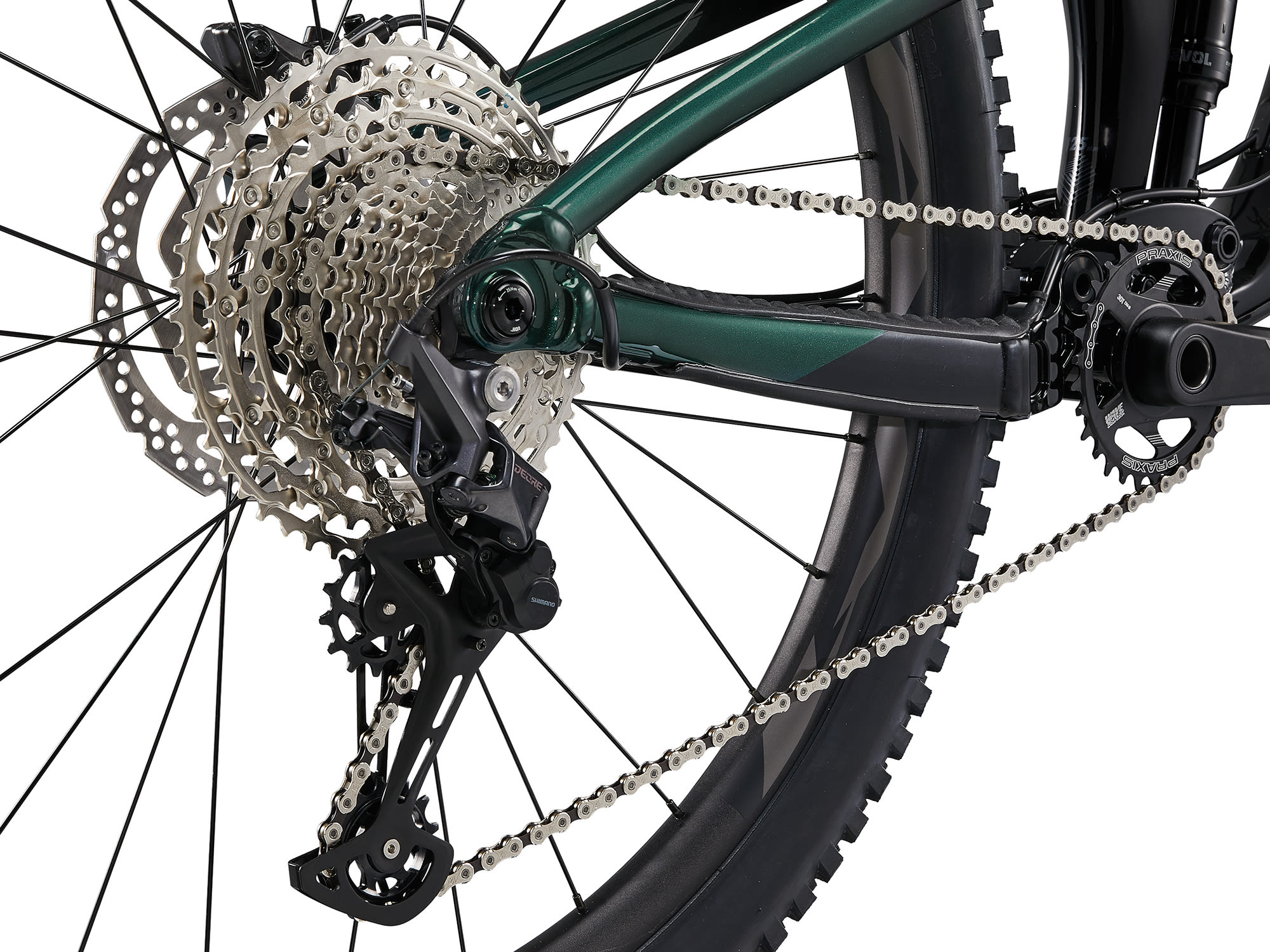 naistemaastikuratas_LivIntrigue291_2024-KelpForest-6