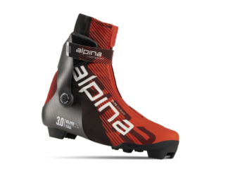 Uisutehnika suusasaapad ALPINA E30 SK (24) (41)