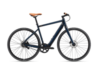 Elektrijalgratas Giant MOMENTUM Voya E+ 2, Ink (L)