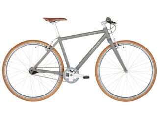 Jalgratas, Excelsior Swagger, 7 käiku, hall (XL)