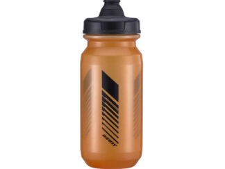 Joogipudel GIANT CleanSpring 600ML Transparent Orange/Gray, läbipaistev-oranž-hall