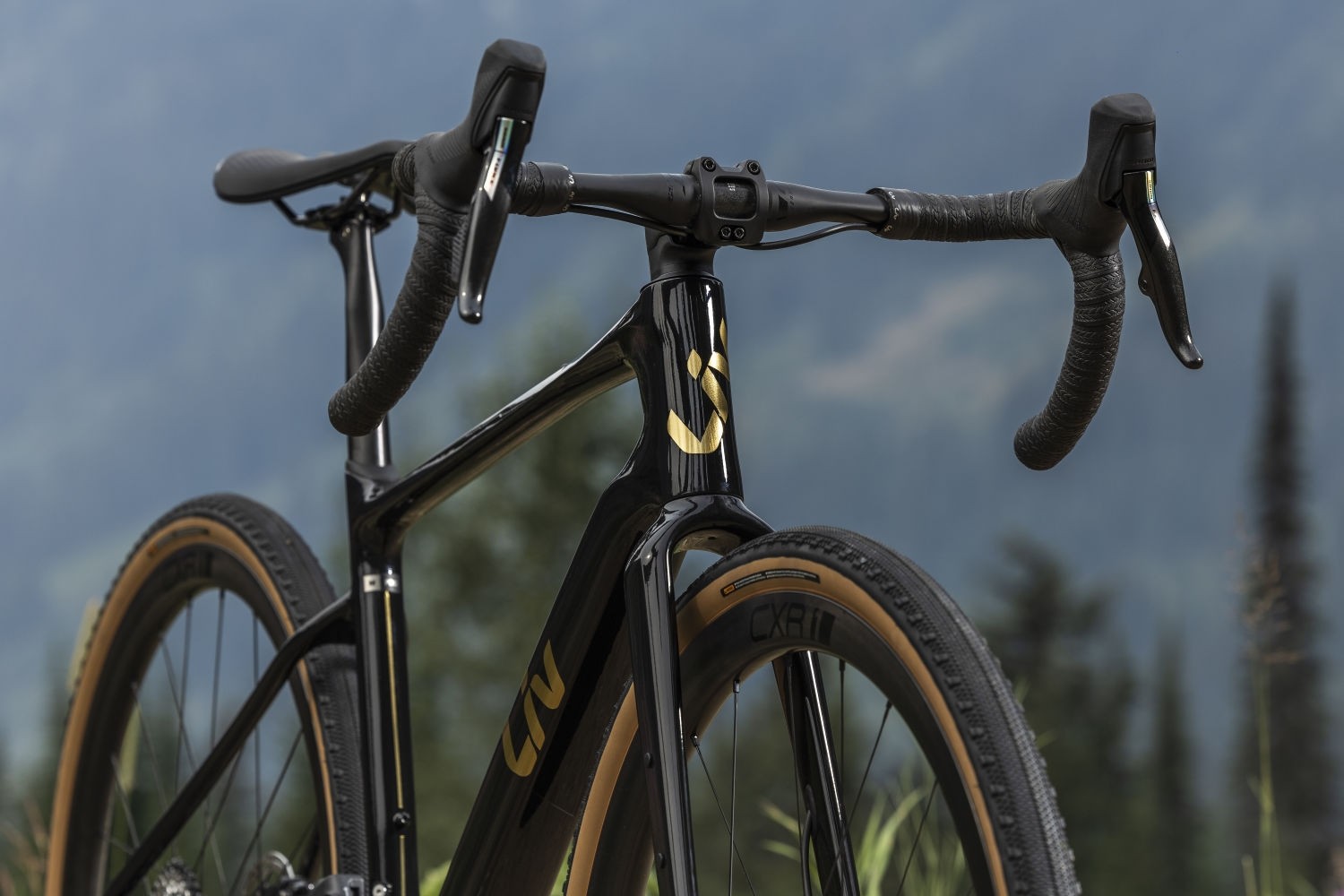 Gravel ratas LIV Devote Advanced Pro, Carbon (L) - Image 5