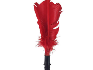 Pall TUNTURI Indiaka tagavarasuled