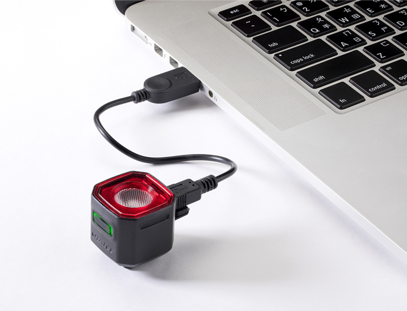 Tagatuli GIANT RECON TL 100 - Image 3