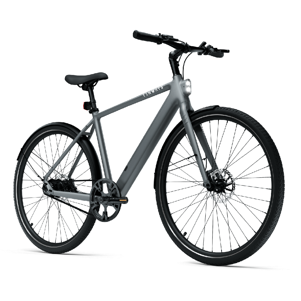 Elektrijalgratas TENWAYS CGO600 PRO, Light Grey (XL) - Image 2