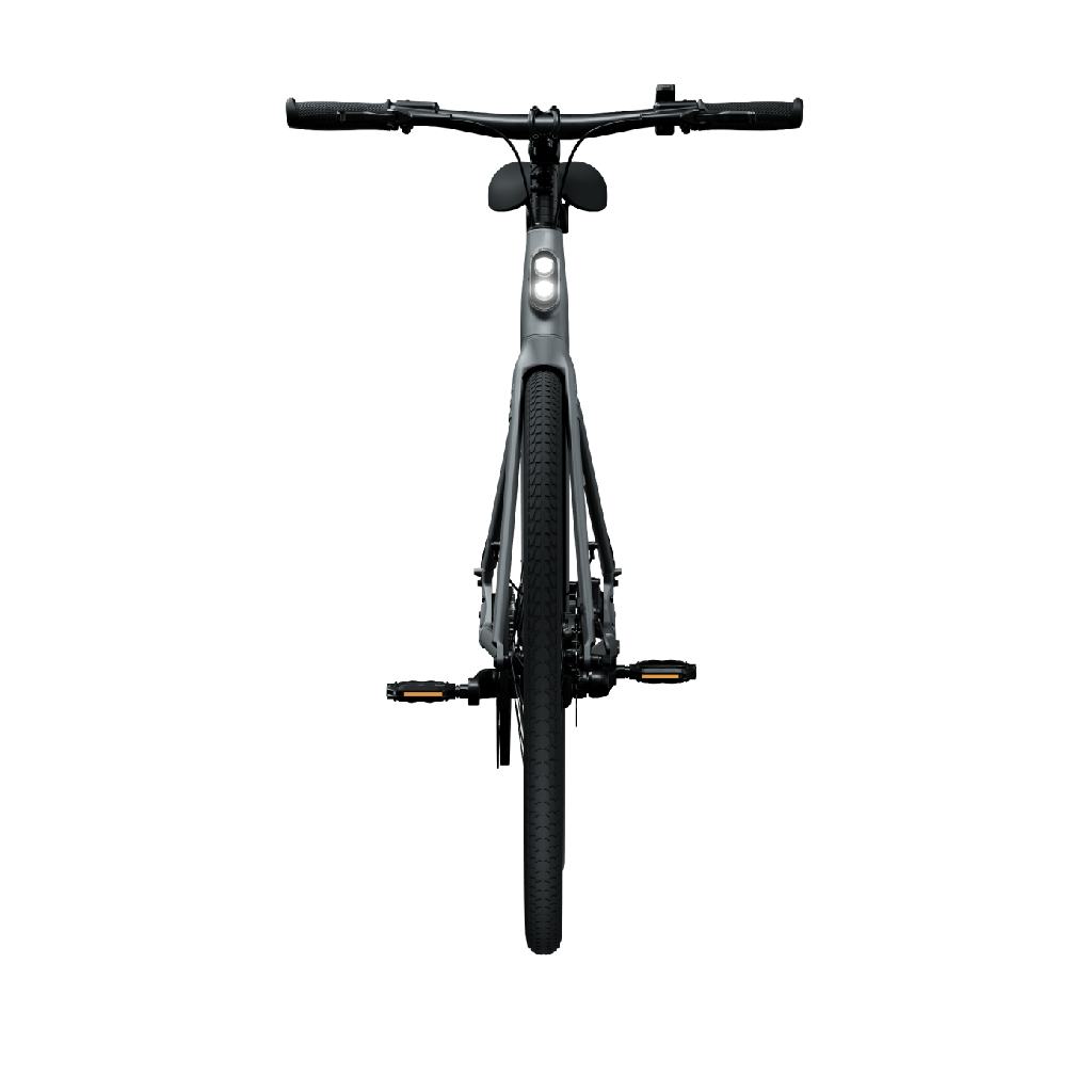 Elektrijalgratas TENWAYS CGO600 PRO, Light Grey (XL) - Image 4