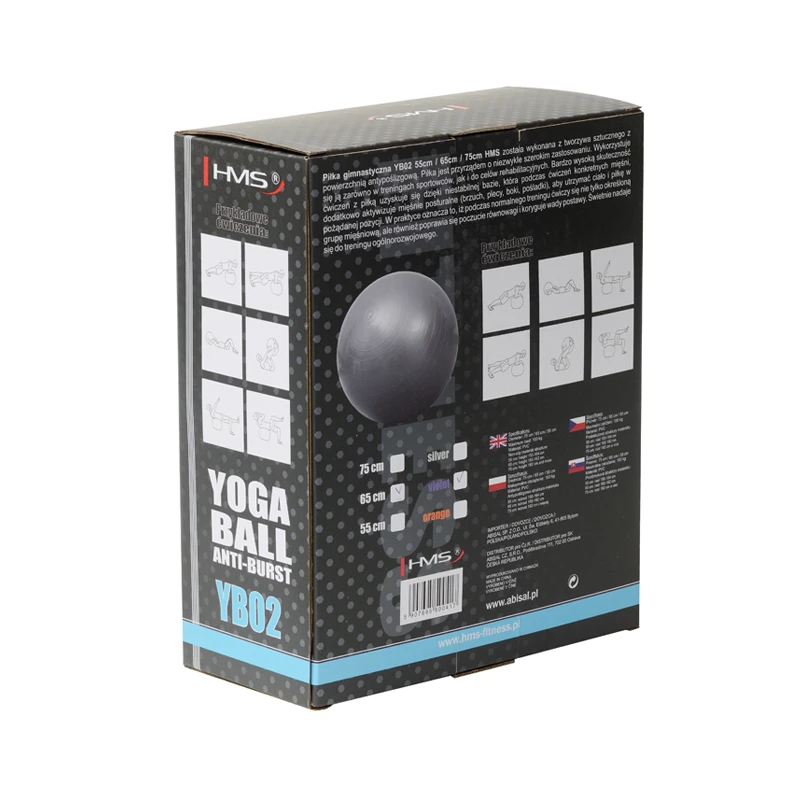 Võimlemispall HMS YB02N Gym Ball 65 cm, lilla - Image 4
