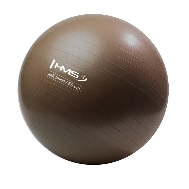Võimlemispall HMS YB02N Gym Ball 65 cm, pruun