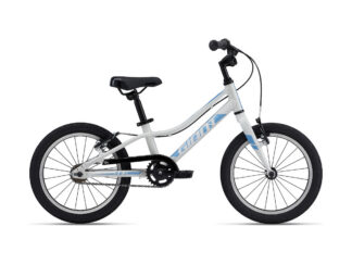 Ülikerge laste jalgratas GIANT ARX 16" F/W Snow Drift