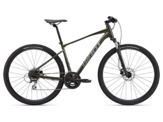 Jalgratas Giant Roam 3 Disc, Phantom Green (S)