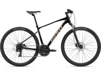 Jalgratas Giant Roam 4 Disc, Black (M)