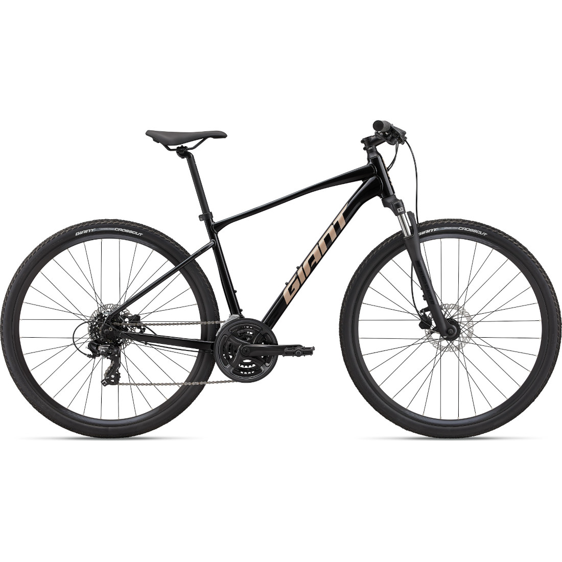 Jalgratas Giant Roam 4 Disc, Black (S)