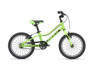 Ülikerge laste jalgratas GIANT ARX 16" F/W Metallic Green