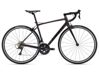 Jalgratas Giant Contend 1, Rosewood (S)