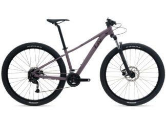 Jalgratas naistele LIV Tempt 3 GE, 29 tolli (L)