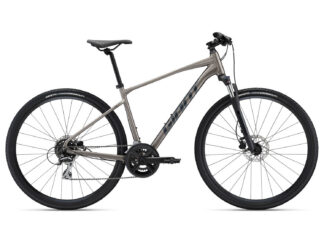Jalgratas Giant Roam 3 Disc, Metal (S)