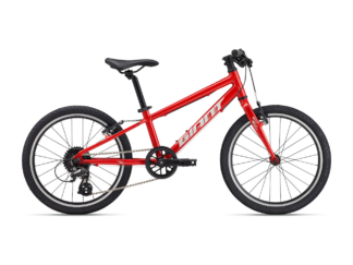 Ülikerge laste jalgratas GIANT ARX 20 (2025) Phoenix Fire