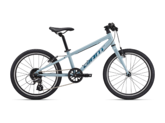 Ülikerge laste jalgratas GIANT ARX 20, Soap Suds